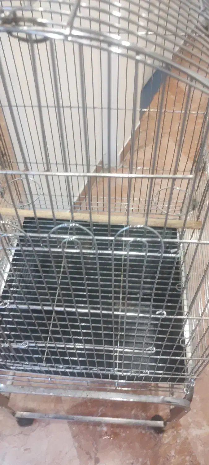 قفس پرنده|لوازم جانبی حیوانات|اندیشه, اندیشه فاز ۵|دیوار