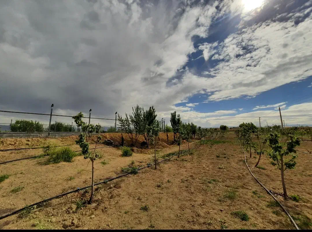 فروش لوله قطره ای یک اینج اندازه یک هکتار باغ|خدمات باغبانی و درختکاری|درودزن, |دیوار