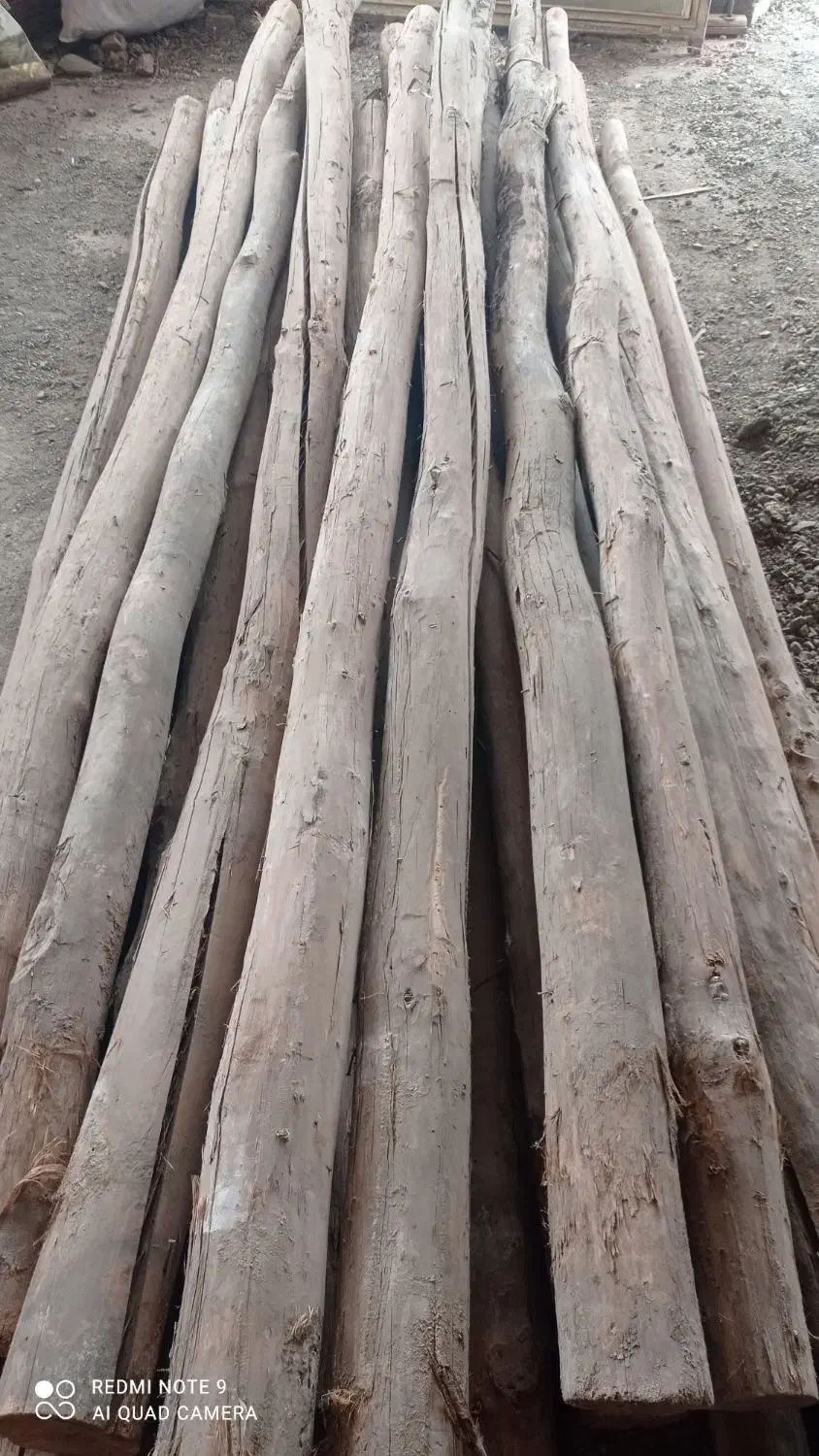 چوب سالم|مصالح و تجهیزات ساختمان|میاندوآب, |دیوار