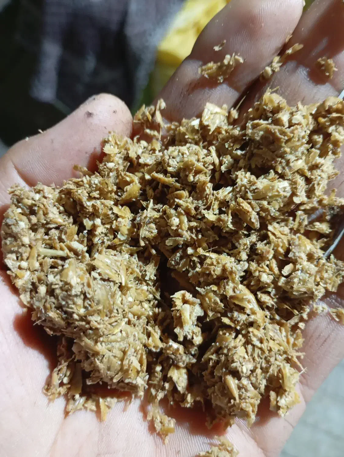 جو تخمیری وکیوم..مخصوص میش شتر.بره.گوساله|لوازم جانبی حیوانات|سرایان, |دیوار