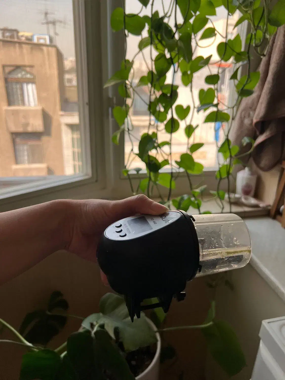 غذاریز|ماهی|تهران, نیروی هوایی (پیروزی)|دیوار