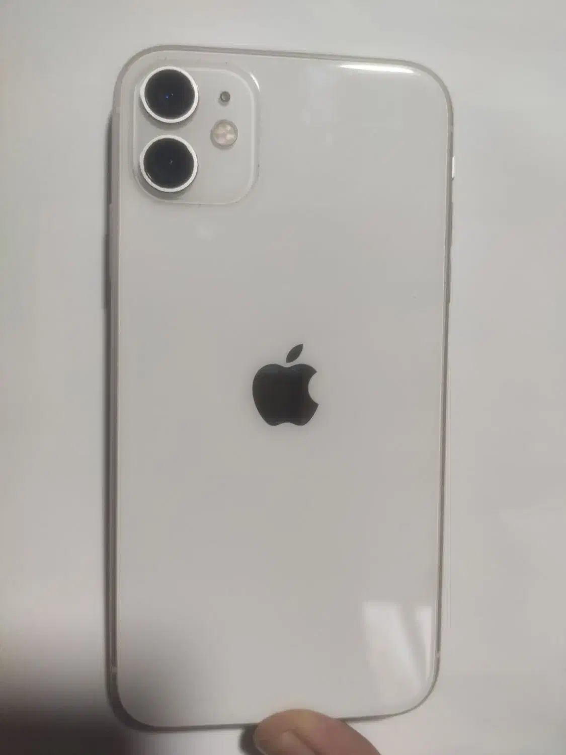 گوشی آیفون یازده|موبایل|رشت, کاکتوس|دیوار