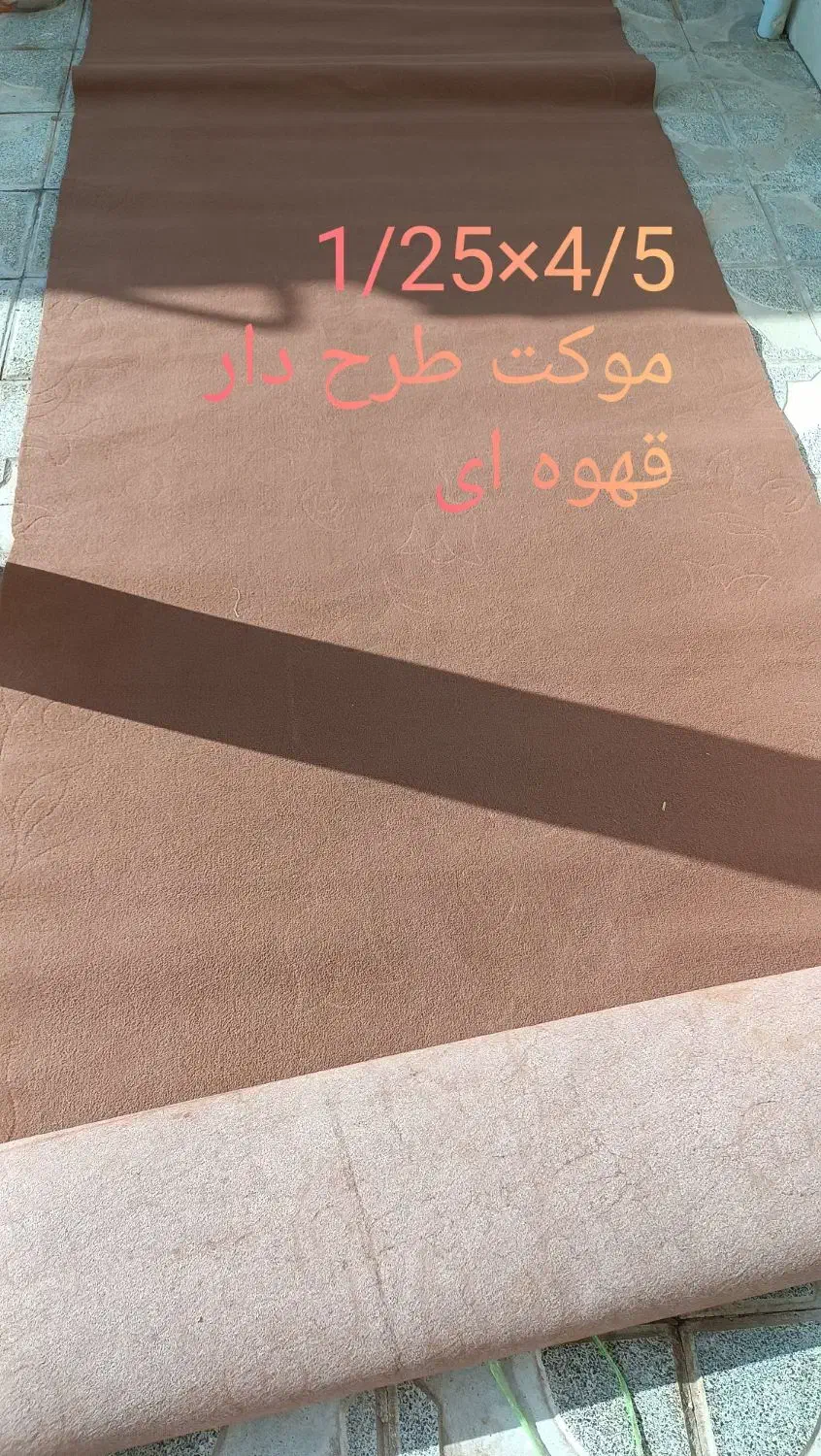 موکت|موکت|تربت‌حیدریه, داروپخش|دیوار