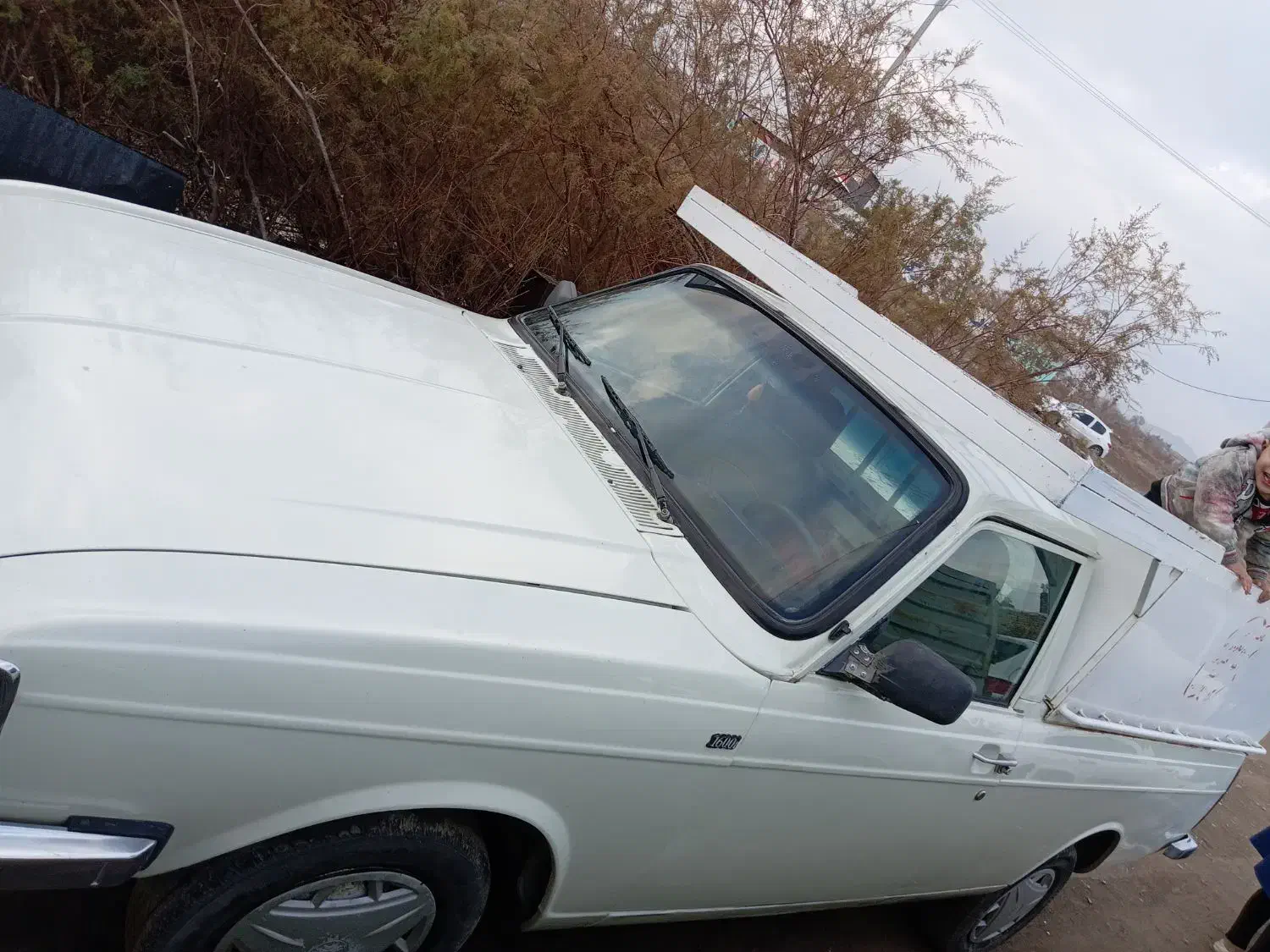 وانت استثنایی|خودرو سواری و وانت|تربتحیدریه, منظر|دیوار