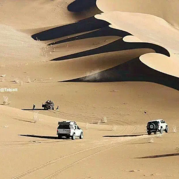 تور کویر کاراکال|تور و چارتر|قدس, شهر‌قدس|دیوار