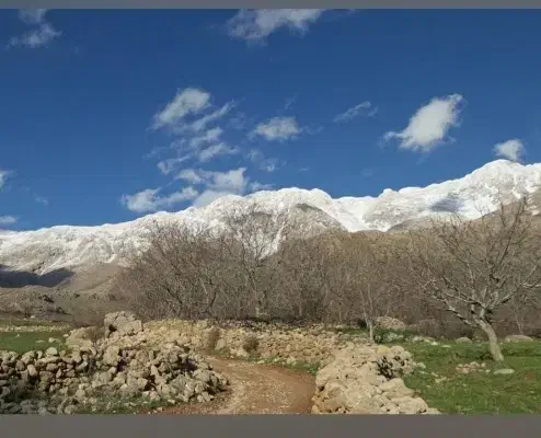 فروش باغ روستای شمشیر (پاوه)|فروش زمین و ملک کلنگی|پاوه, |دیوار