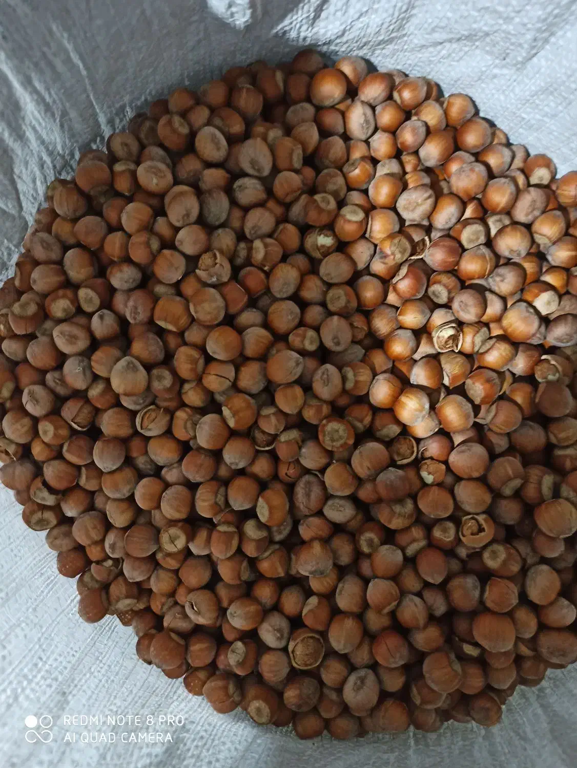 فروش فندق پاکسازی شده بدون خرابی و پوچی و سیاهی|خوردنی و آشامیدنی|رشت, بازار|دیوار