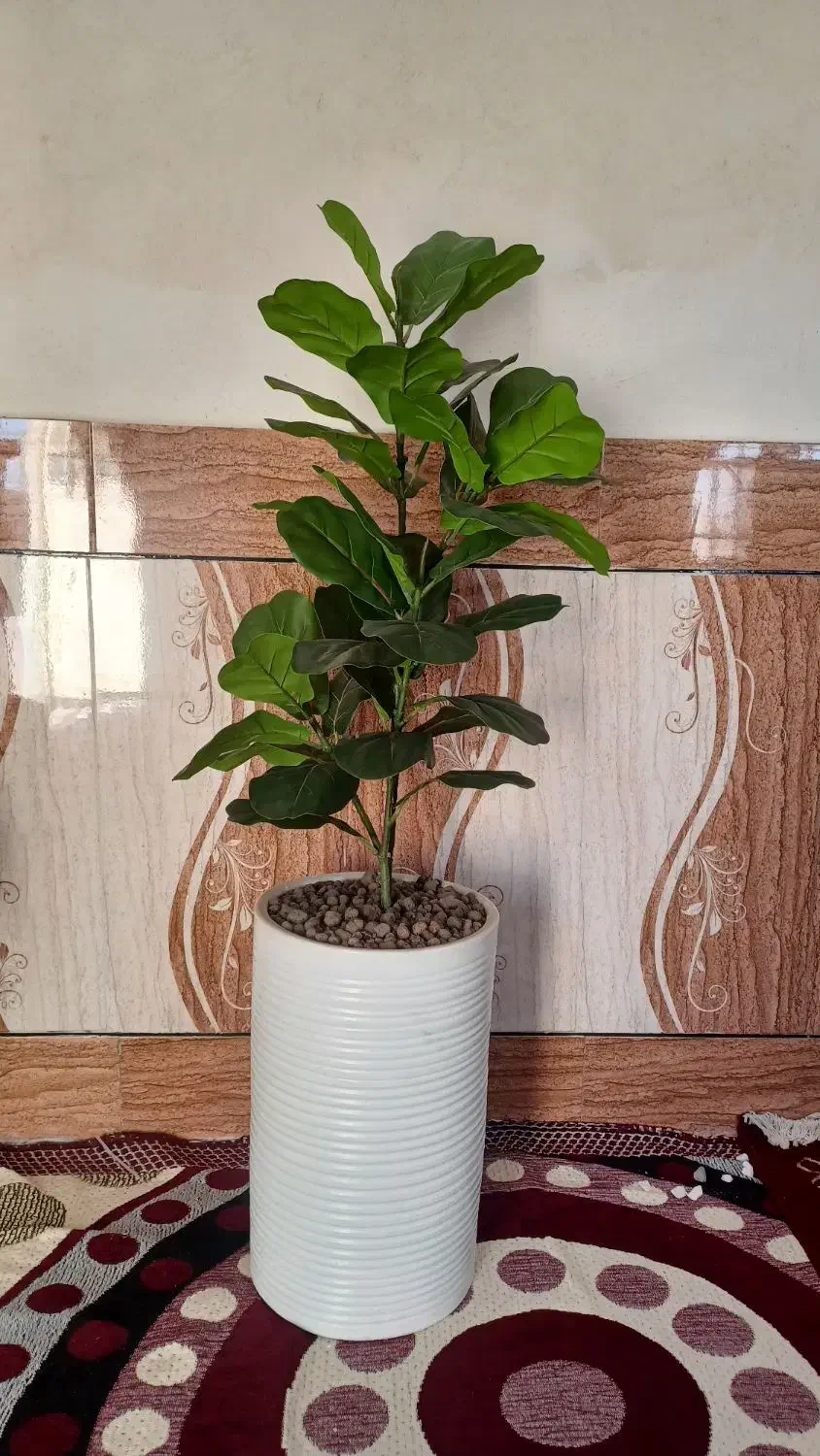 درختچه مصنوعی شکوفه با تنه طبیعی|گل مصنوعی|رامشیر, |دیوار