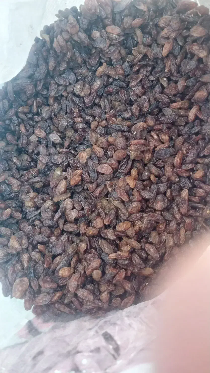 کشمش خوردنی درجه یک|خوردنی و آشامیدنی|یزد, |دیوار