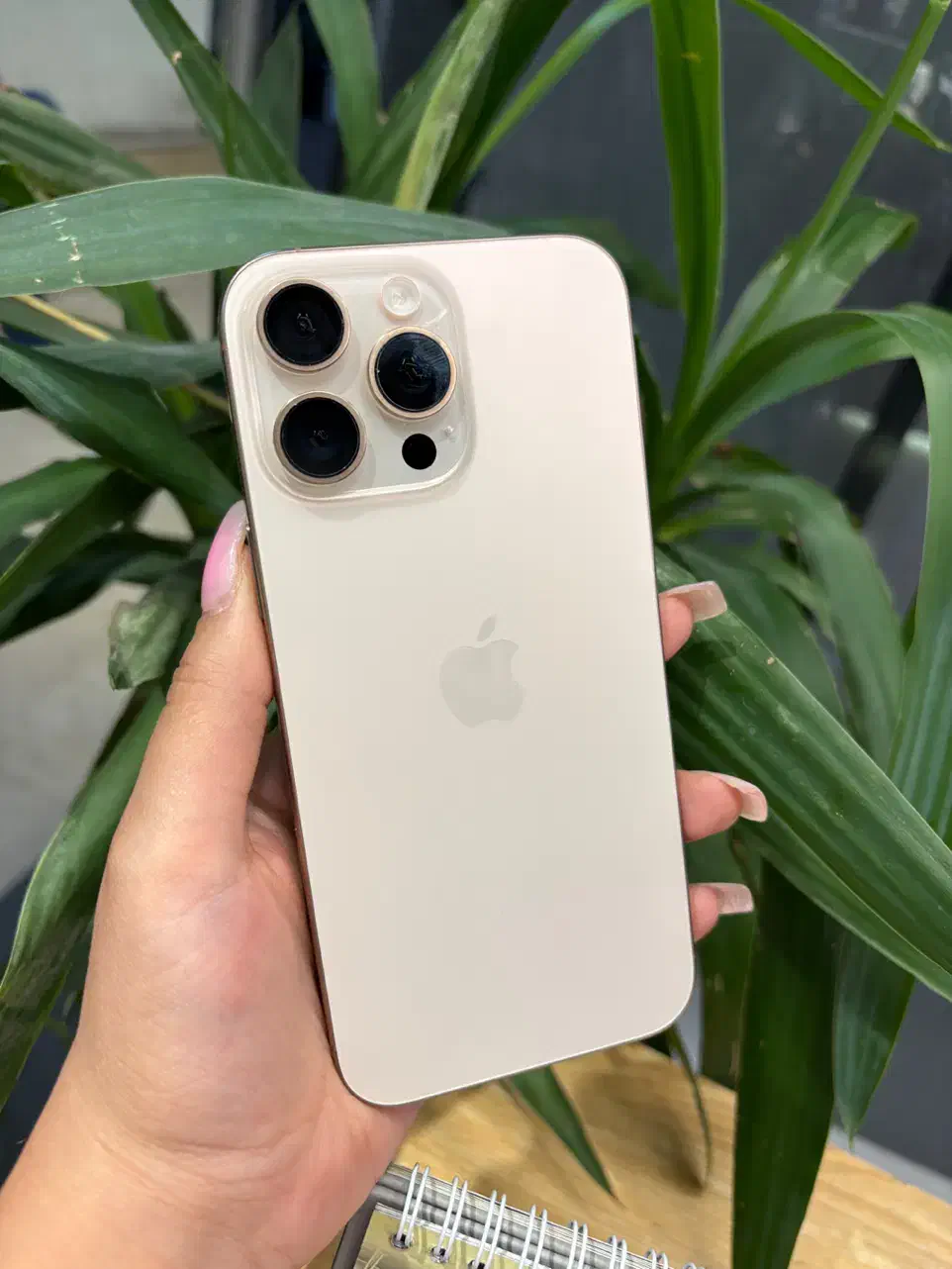 iphone16promax 256|موبایل|تهران, گیشا|دیوار