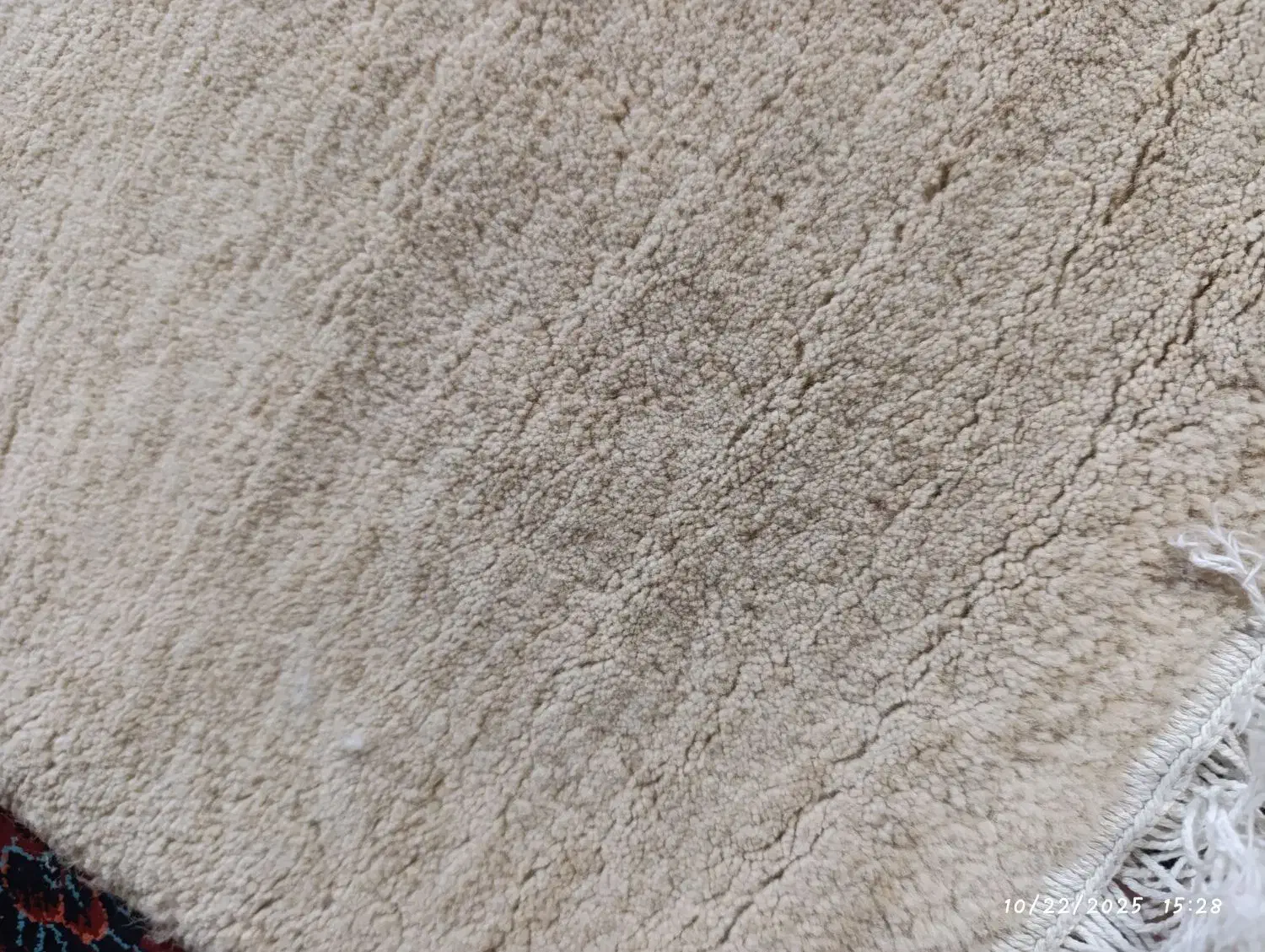 فرش6متری|فرش|کهریزک, |دیوار