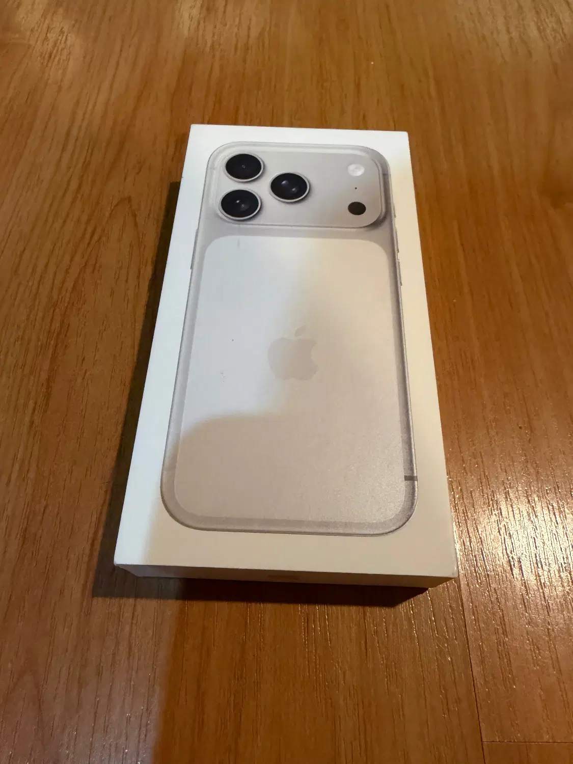 Iphone 17 pro 256 GB|موبایل|رشت, کاکتوس|دیوار