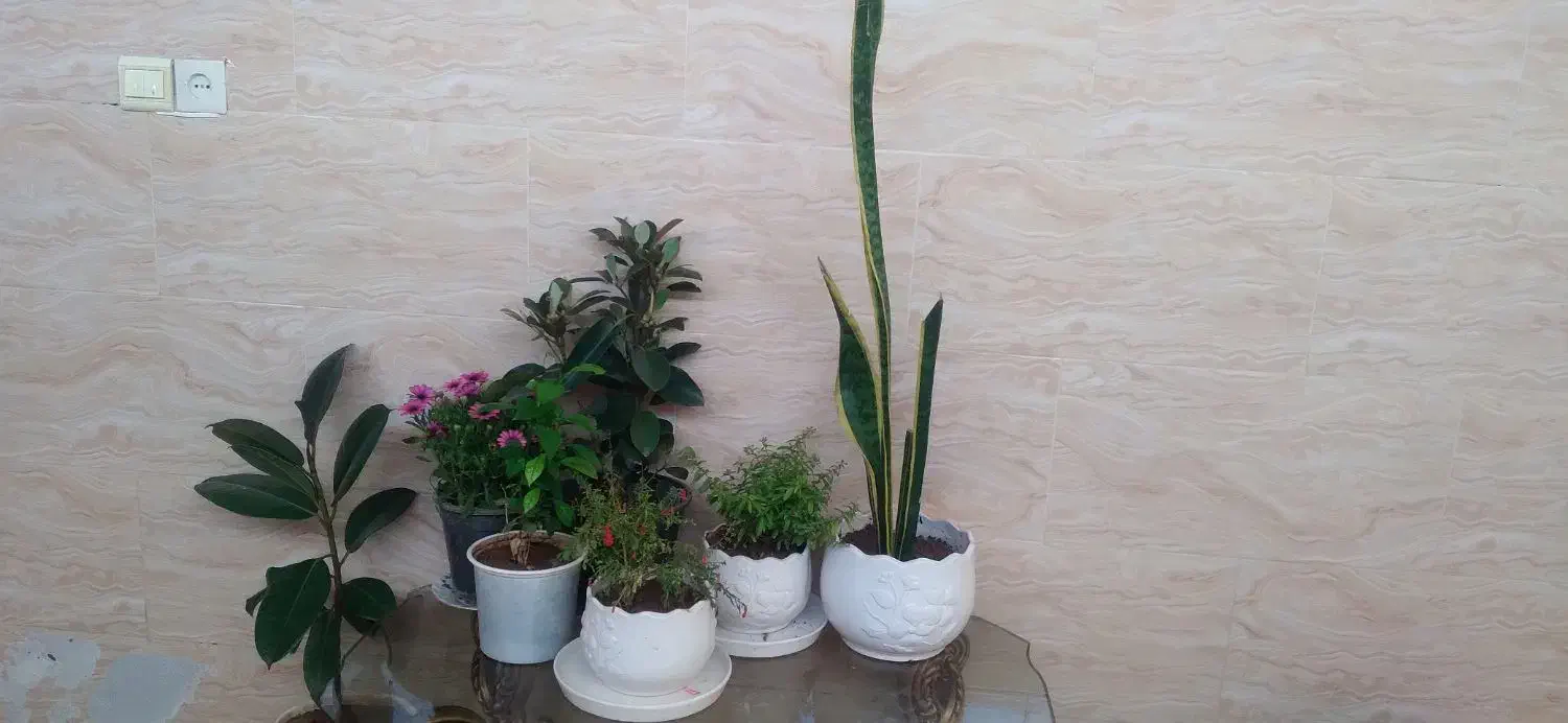 فروش مسکن مهر فولاد شهرمحله ای ۳|فروش آپارتمان|فولادشهر, مسکن مهر فولادشهر|دیوار