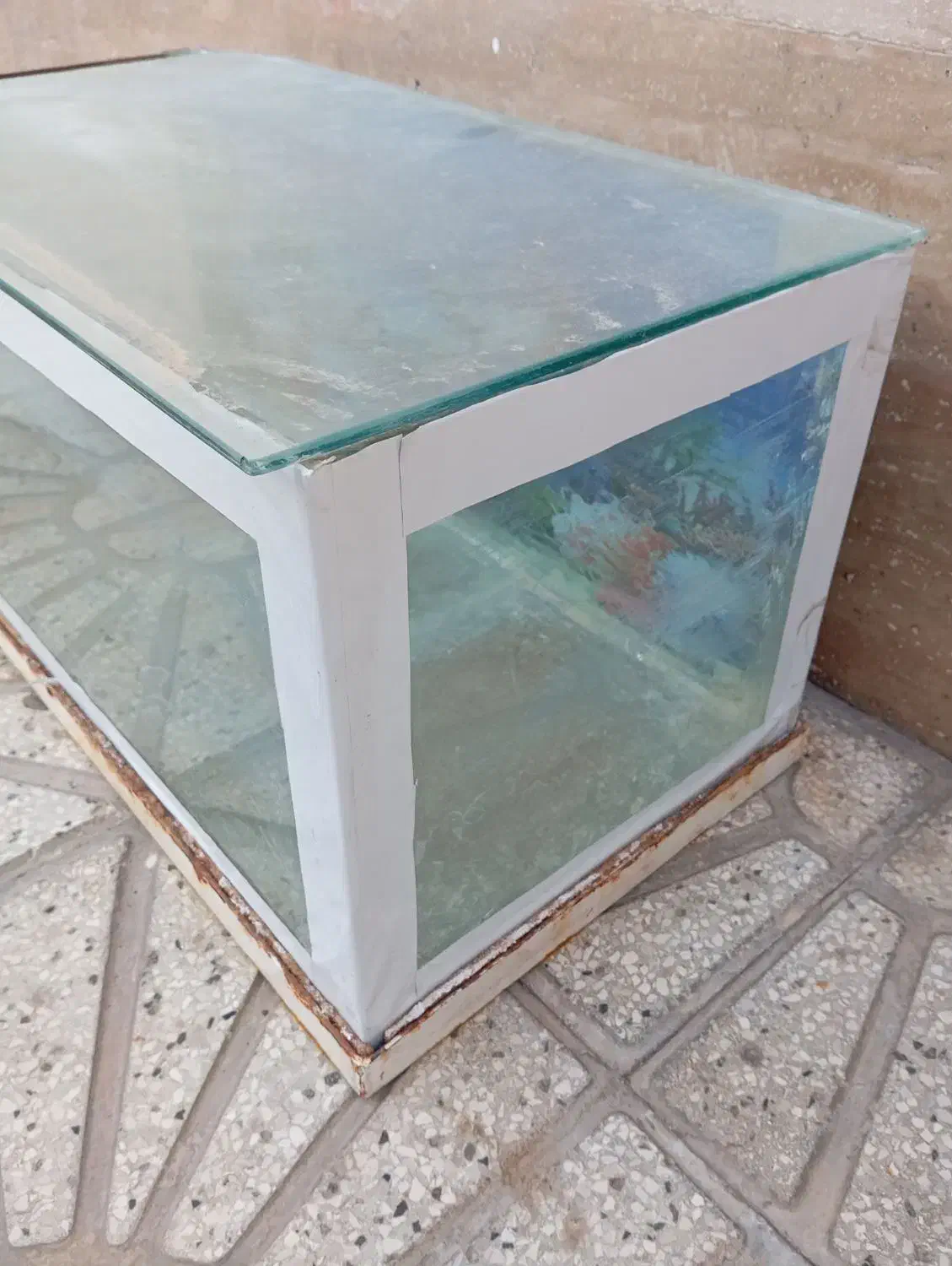 آکواریوم سالم|ماهی|قوچان, |دیوار