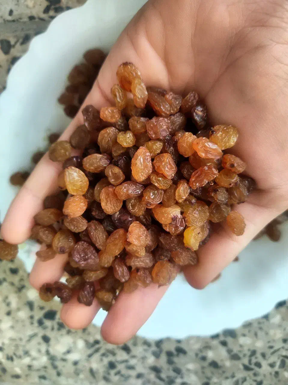 کشمش پلویی و آجیلی درجه اعلا|خوردنی و آشامیدنی|تبریز, |دیوار