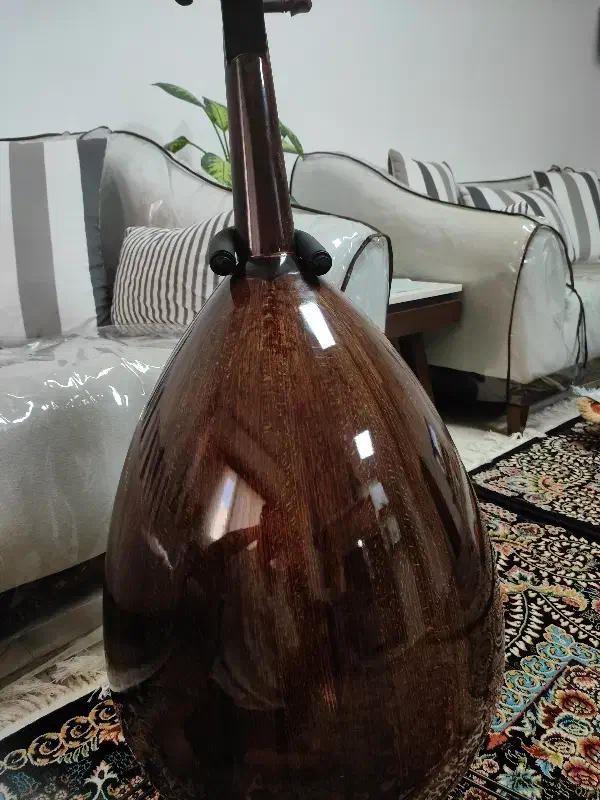 عود زریاب|سازهای سنتی|بندرعباس, |دیوار