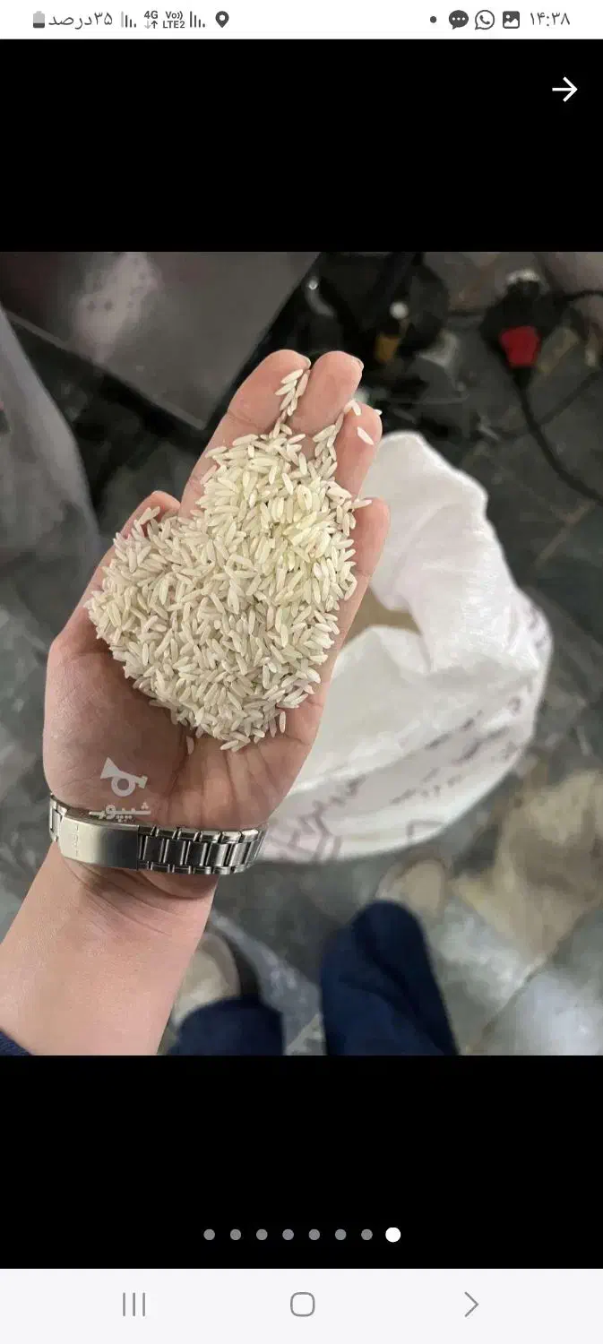 برنج طارم درجه 1 سید محله|خوردنی و آشامیدنی|ساری, |دیوار