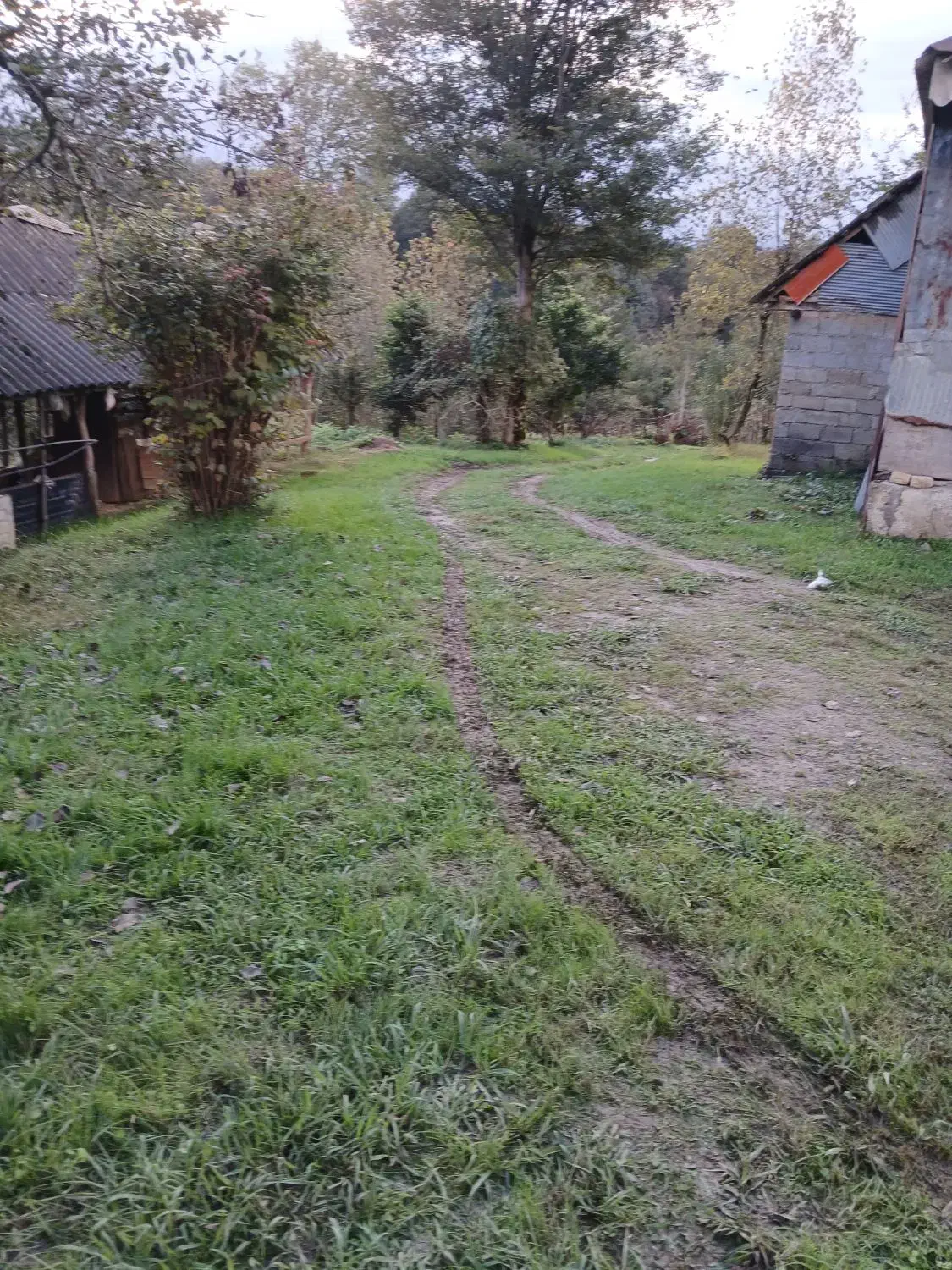 فروش زمین با یک باب خانه با امتیاز کامل|فروش خانه و ویلا|شفت, |دیوار