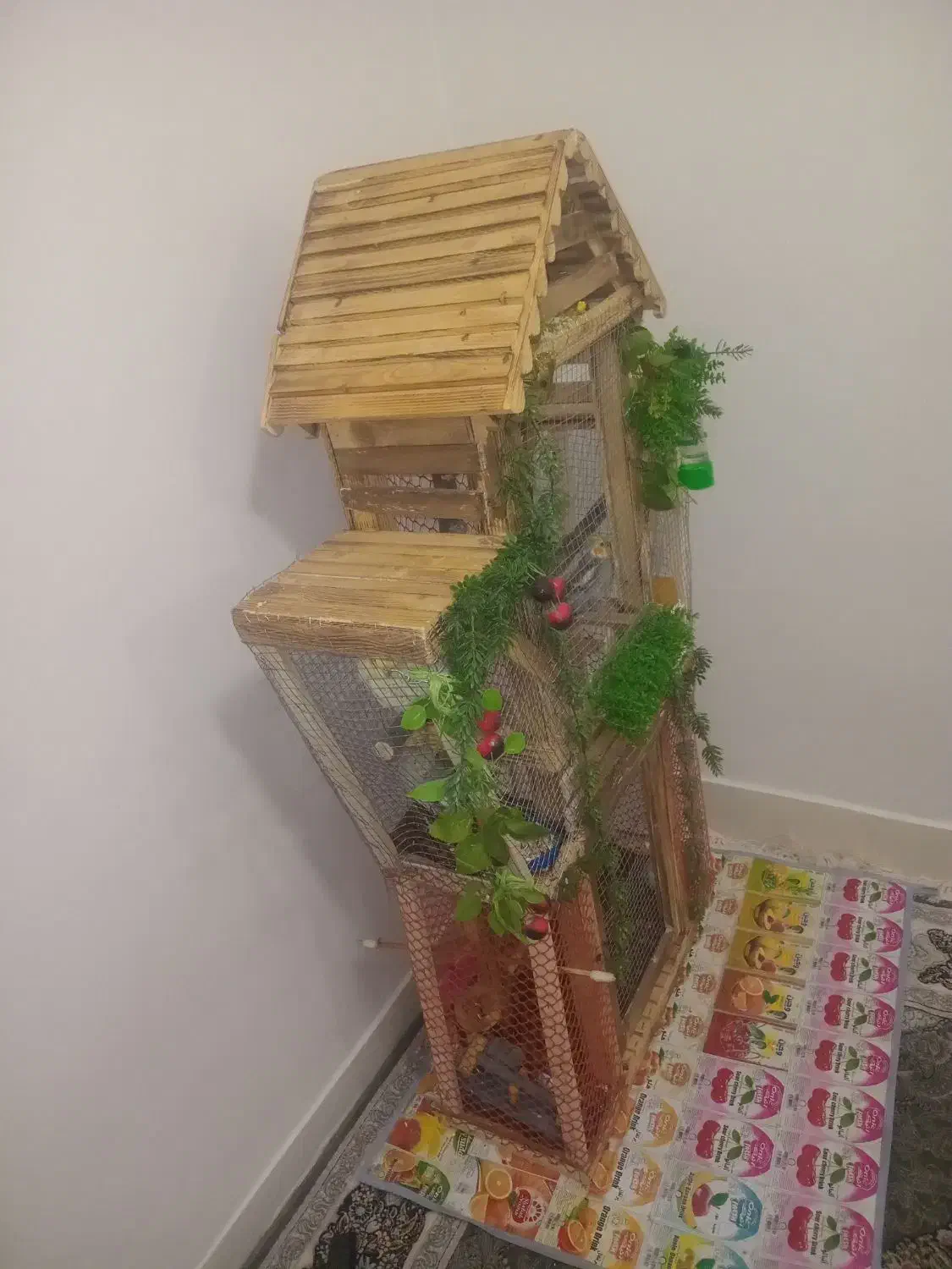 فقس پرنده|لوازم جانبی حیوانات|ملایر, |دیوار