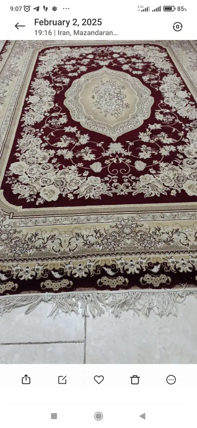 فرش ۶ متری|فرش|ساری, |دیوار