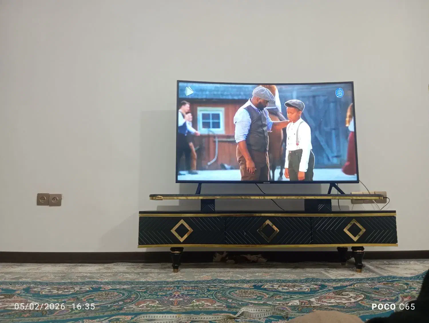 طوطی گرینجک|اشیا|کرمان, |دیوار