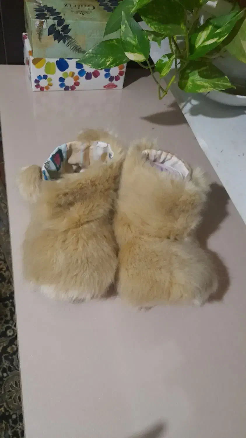 پاپوش خزدار|لباس|لاهیجان, خمیر کلایه|دیوار