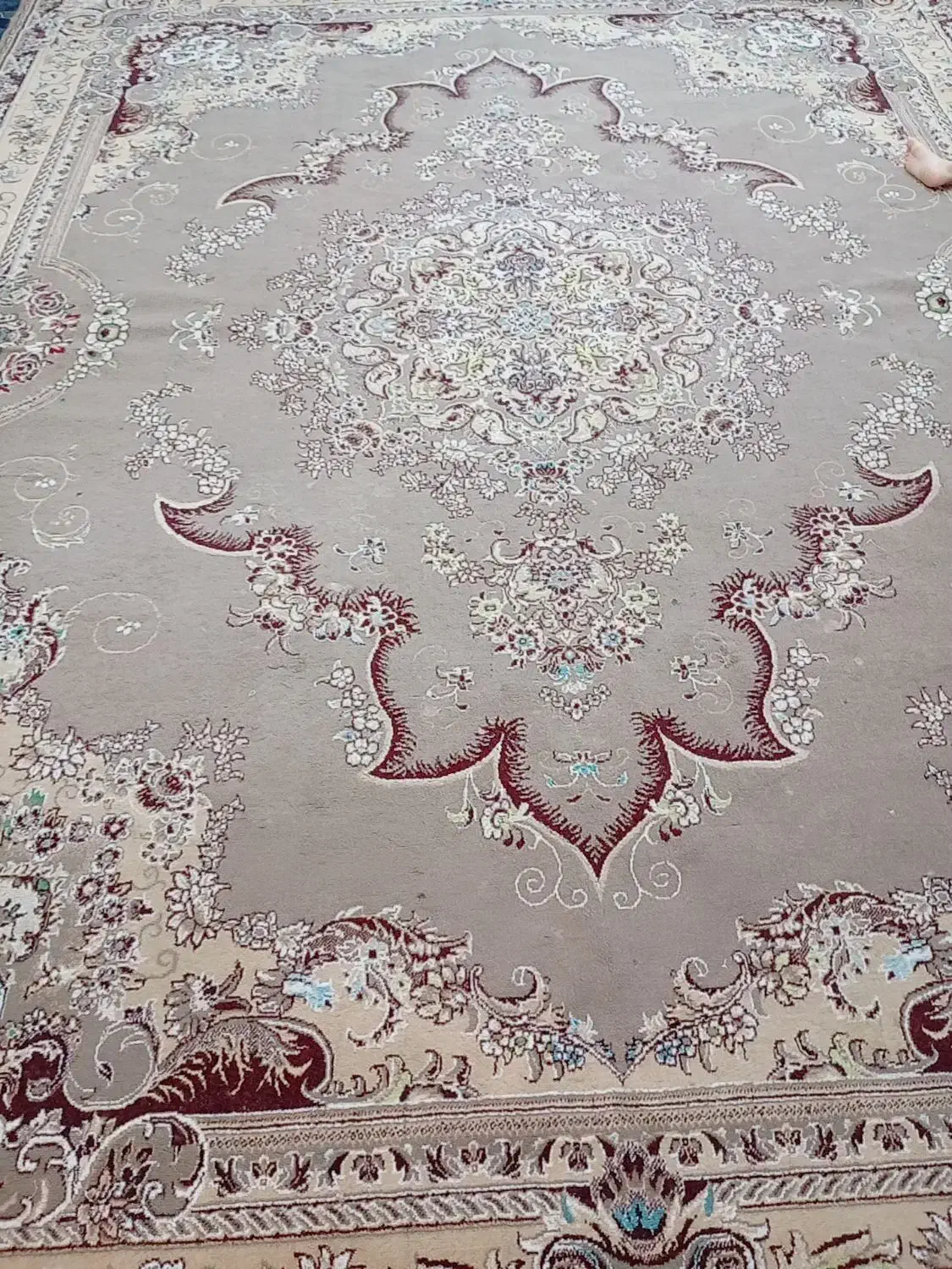 فرش ۱۲متری|فرش|بهبهان, |دیوار