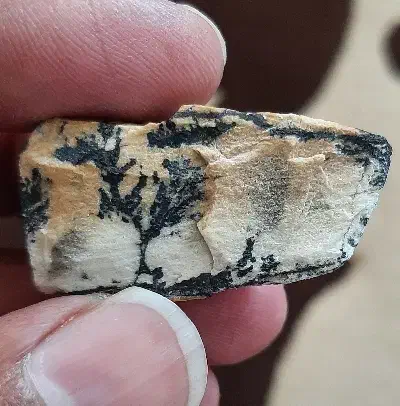 سنگ شجر|کلکسیون اشیاء عتیقه|کرمان, |دیوار