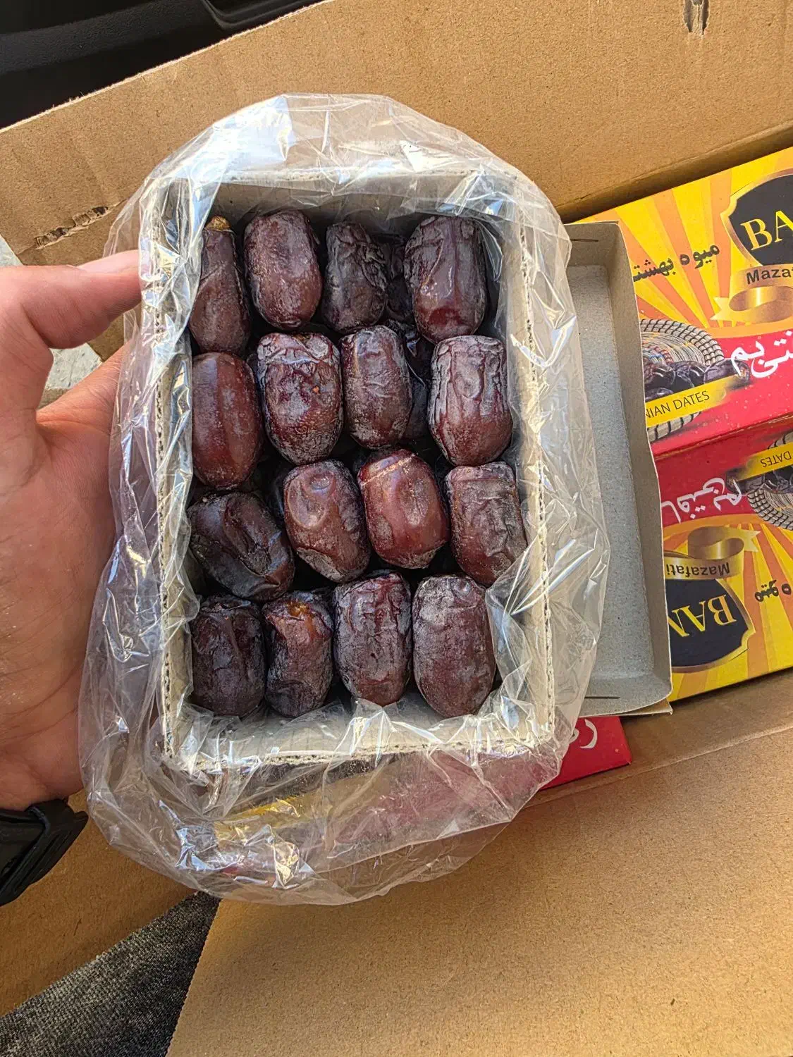 خرمای جنوب|عمدهفروشی|تهران, سردارجنگل|دیوار