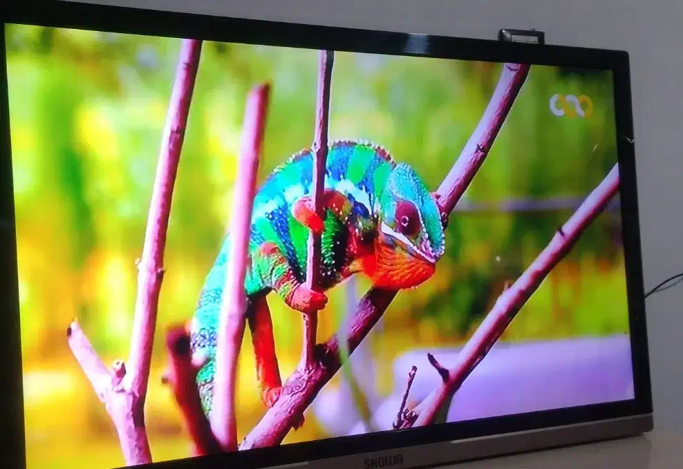 ۴۳ اینچ اسنوا|تلویزیون و پروژکتور|کوهدشت, |دیوار