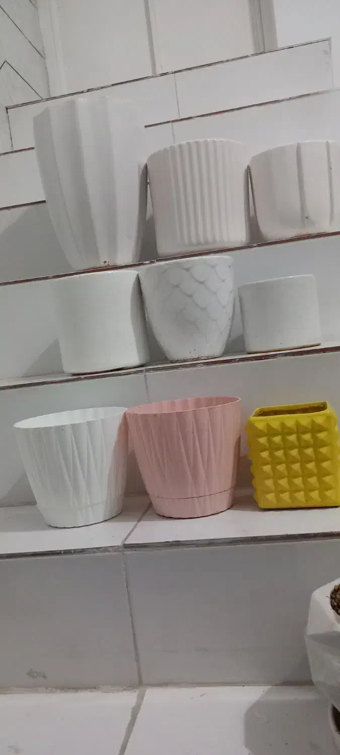 گلدان سفالی و پلاستیکی|گل و گیاه طبیعی|بافق, |دیوار