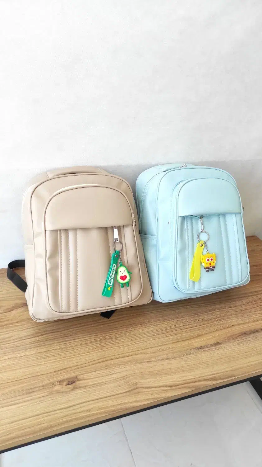 کوله پشتی ، ساک ، کیف دانشجویی به قیمت خرید|کیف، کفش، کمربند|شیراز, میانرود|دیوار