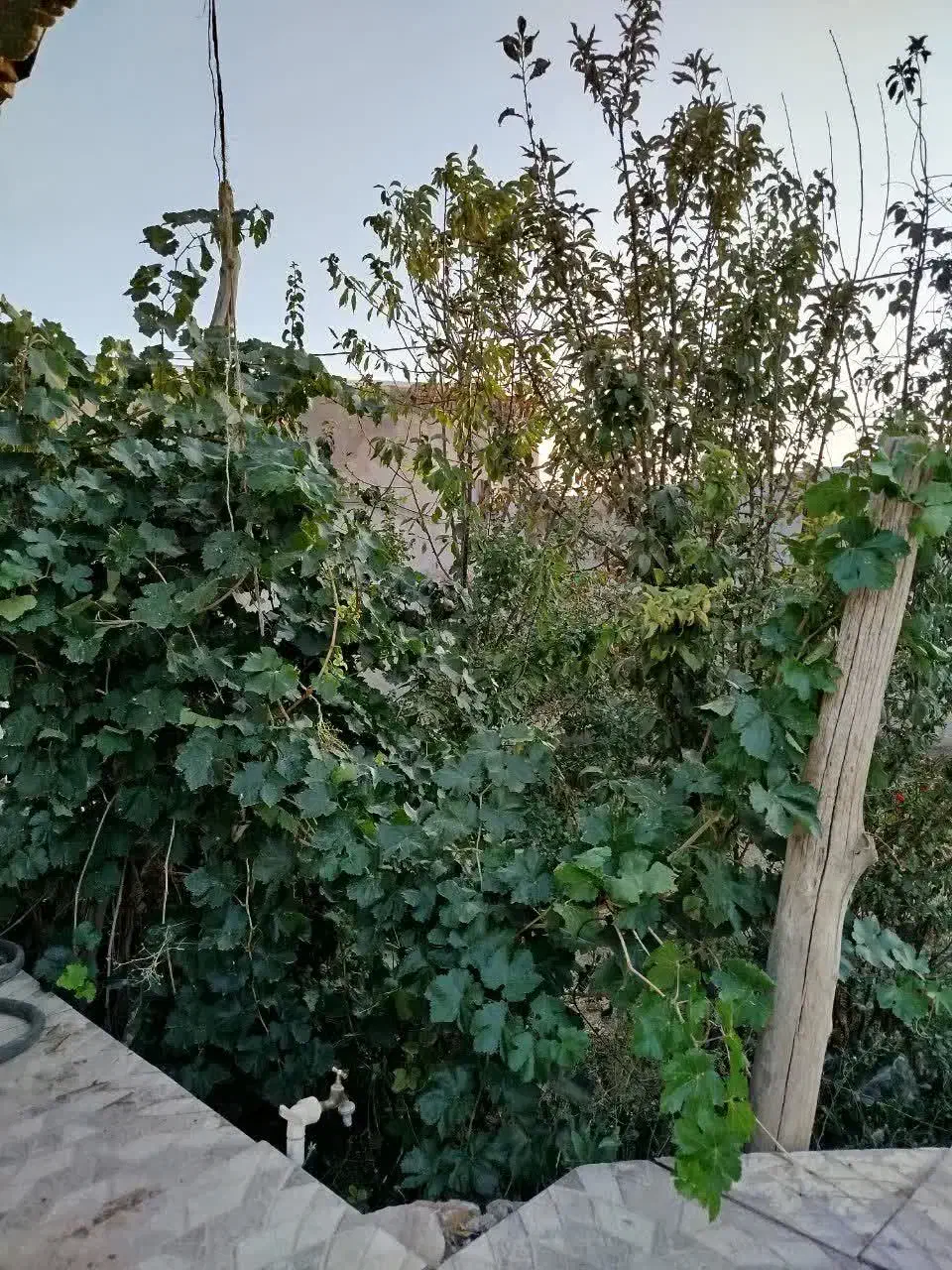 فروش خانه باغ ویلایی|فروش خانه و ویلا|فرمهین, |دیوار