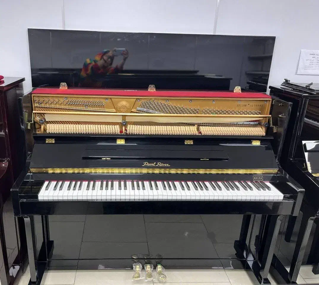 فروشگاه موسیقی سل فا|گیتار، بیس، امپلیفایر|شهرکرد, |دیوار