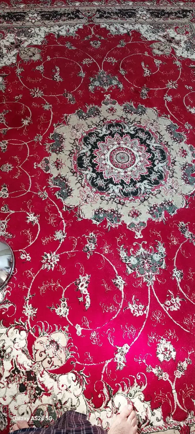 قالی 9 متری|فرش|اهواز, کوی باهنر|دیوار