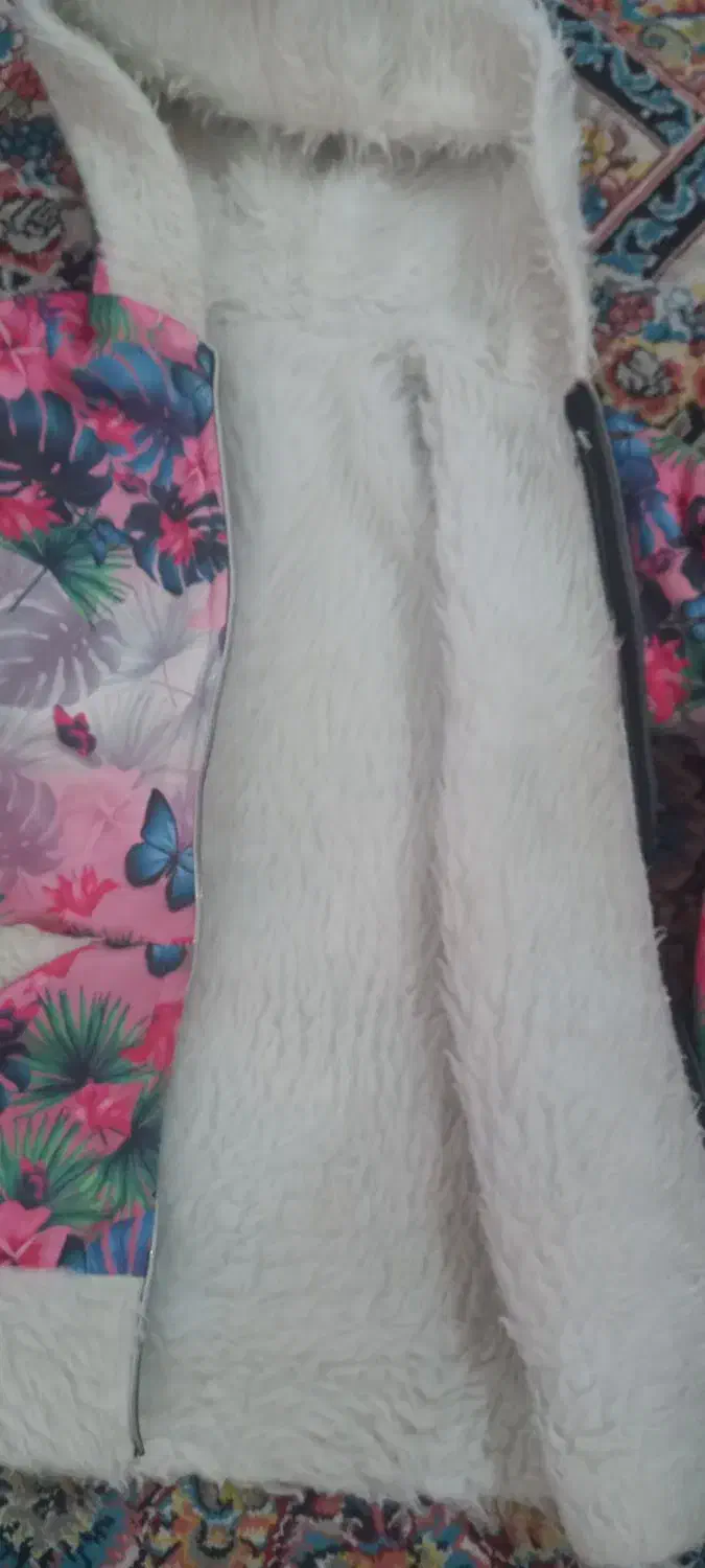 سویشرت دخترانه و چند مدل کفش بچگانه|کفش و لباس بچه|یزد, |دیوار