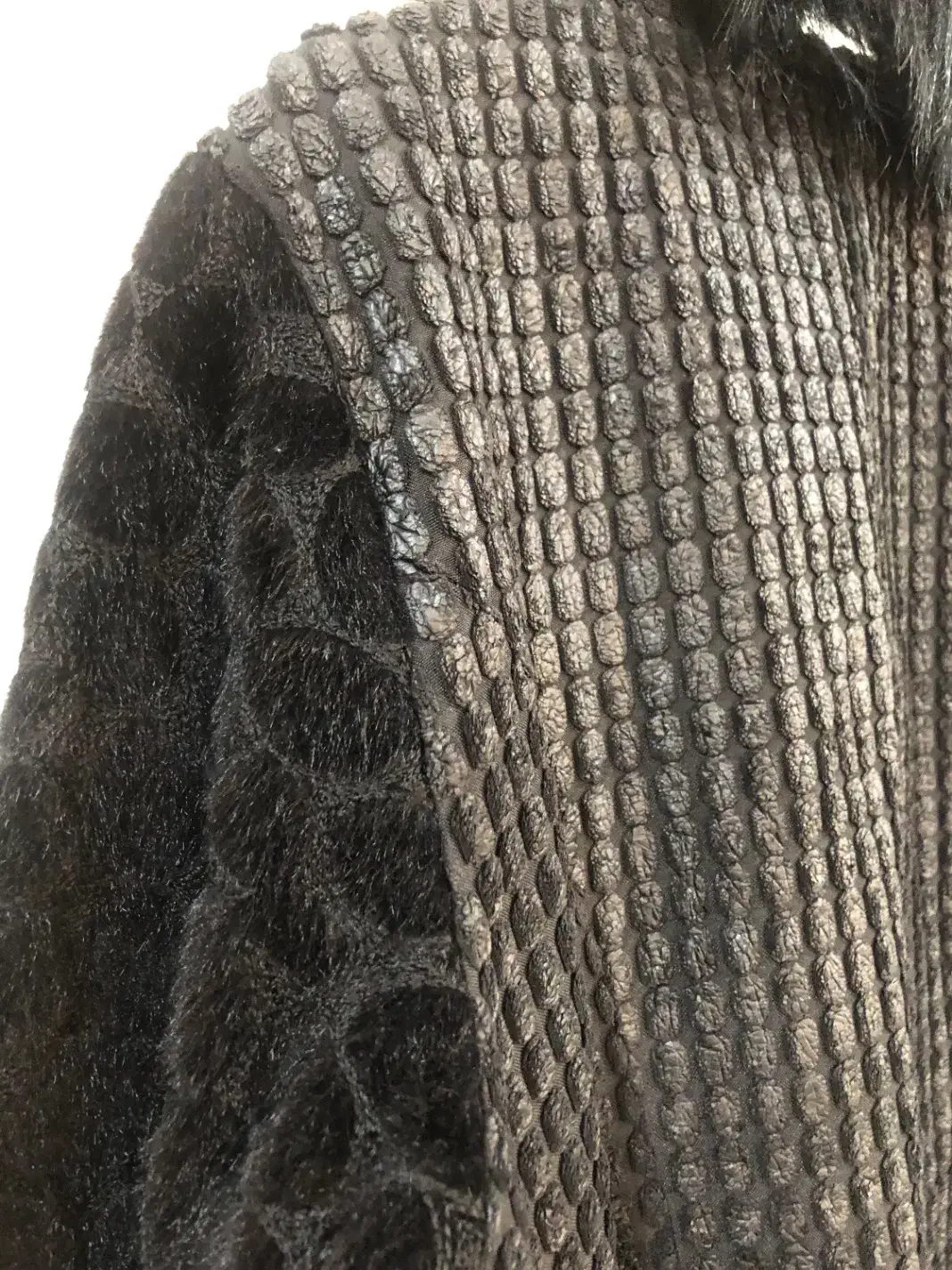 پالتو ۲۰۰|لباس|دورود, |دیوار