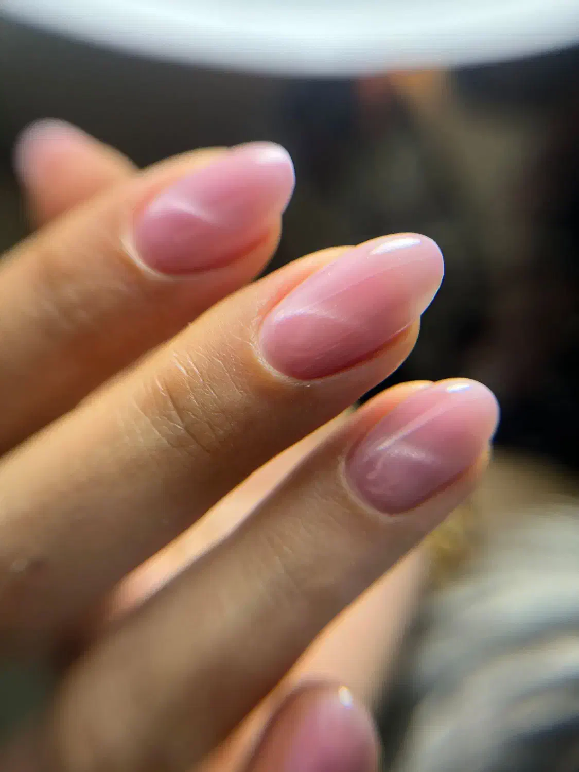 آموزش و خدمات کاشت ناخن.|خدمات آرایشگری و زیبایی|مرند, |دیوار