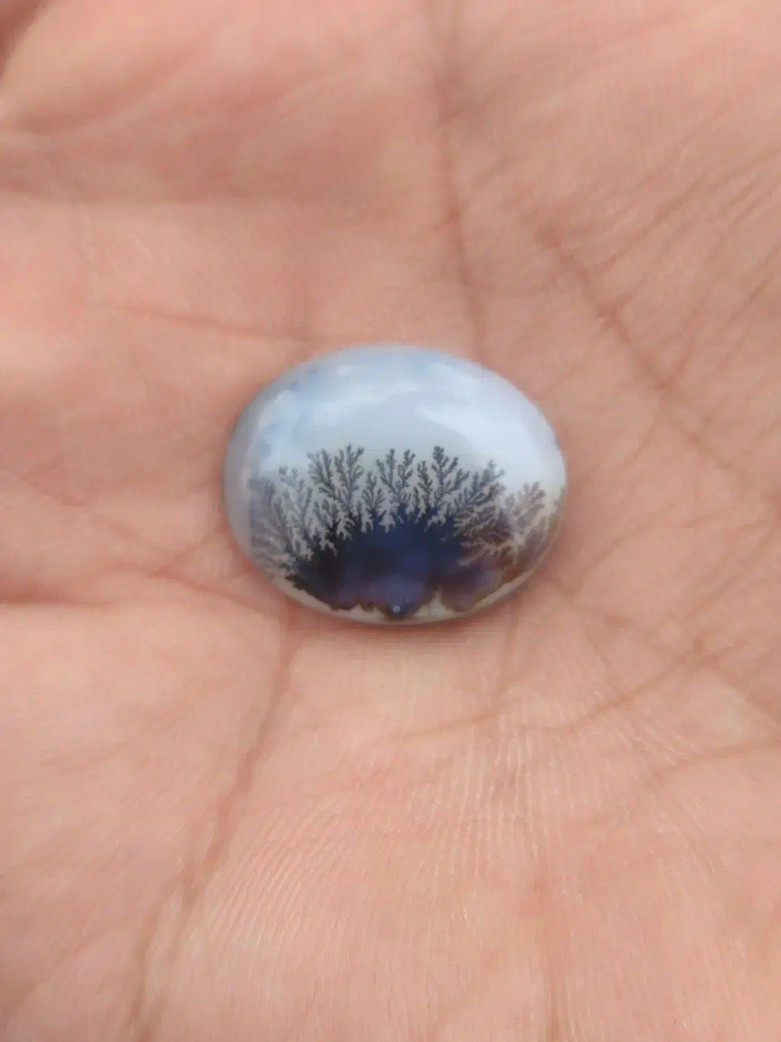 انگشتر شجر فیروزه|جواهرات|قرچک, مهدیه|دیوار