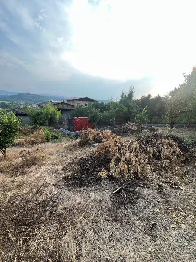 فروش زمین مسکونی 275 متر در بابلکنار|فروش زمین و ملک کلنگی|مرزیکلا, |دیوار