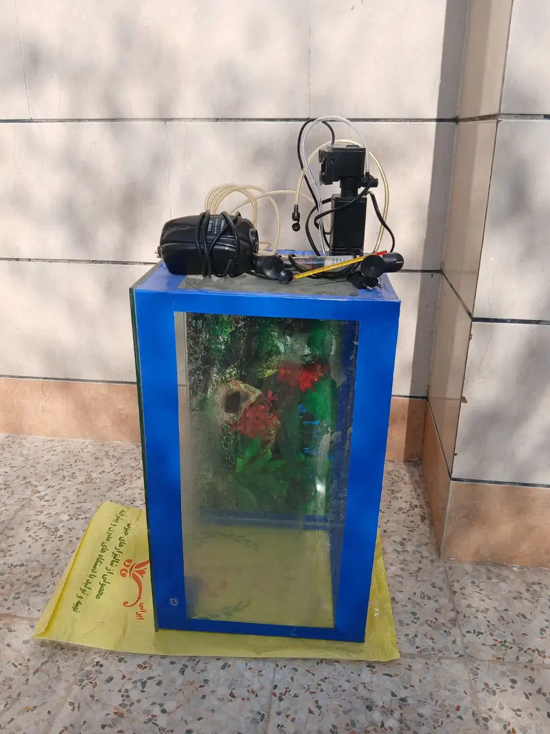 فروش|ماهی|بهبهان, |دیوار