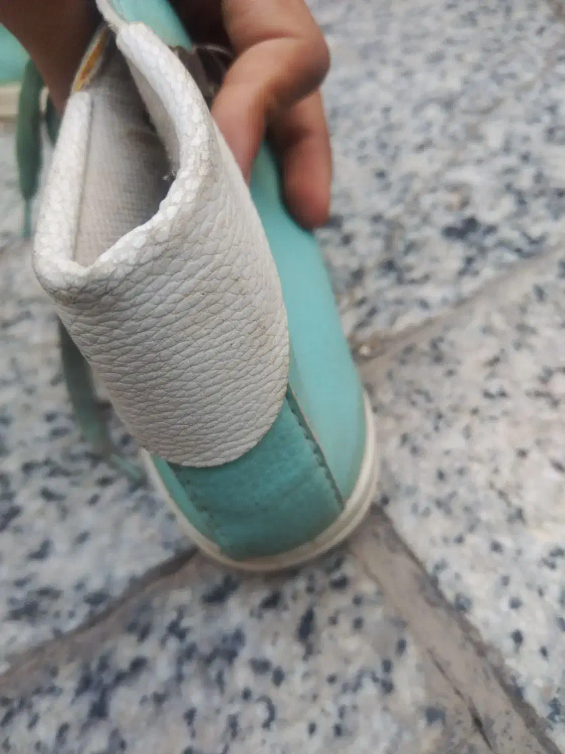 کفش|کیف، کفش، کمربند|بیرجند, |دیوار