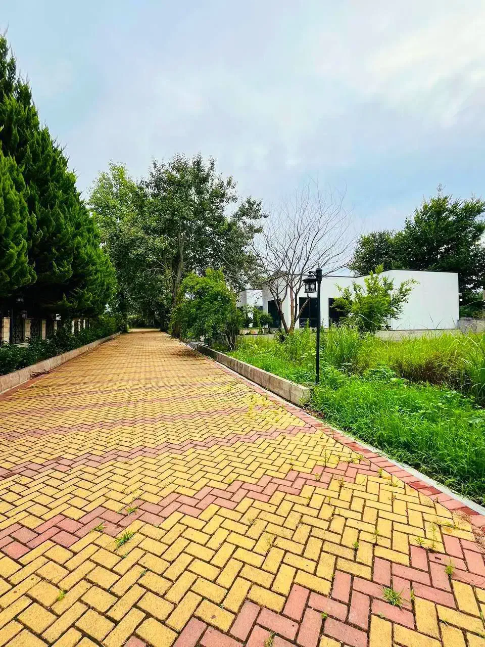 زمین۲۵۰متری شهرکی/سنددار/انشعابات پای ملک|فروش زمین و ملک کلنگی|امامزاده عبدالله, |دیوار