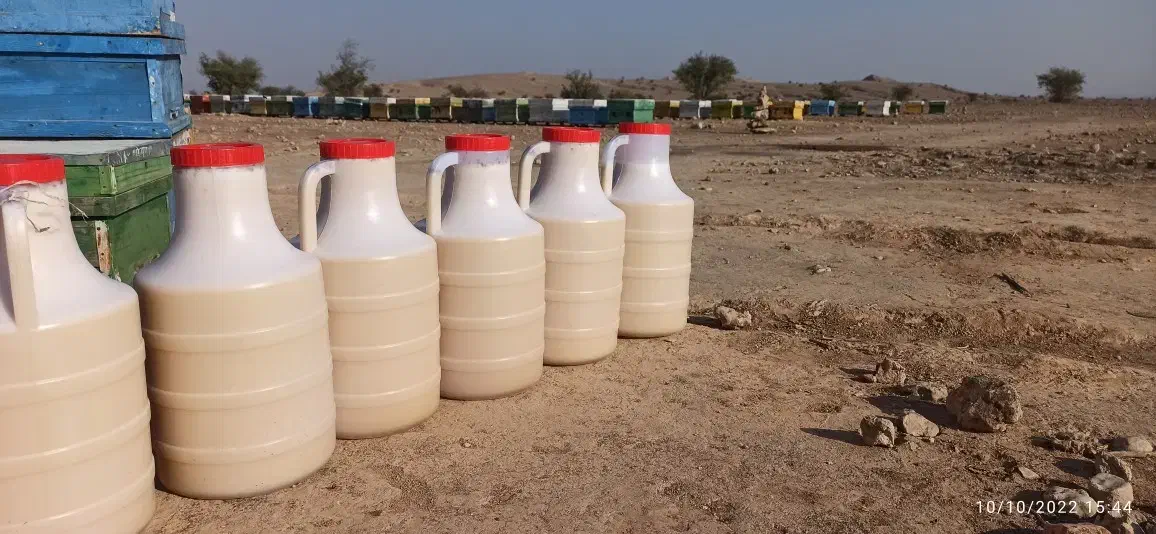 عسل کنار|خوردنی و آشامیدنی|جره و بالاده, |دیوار