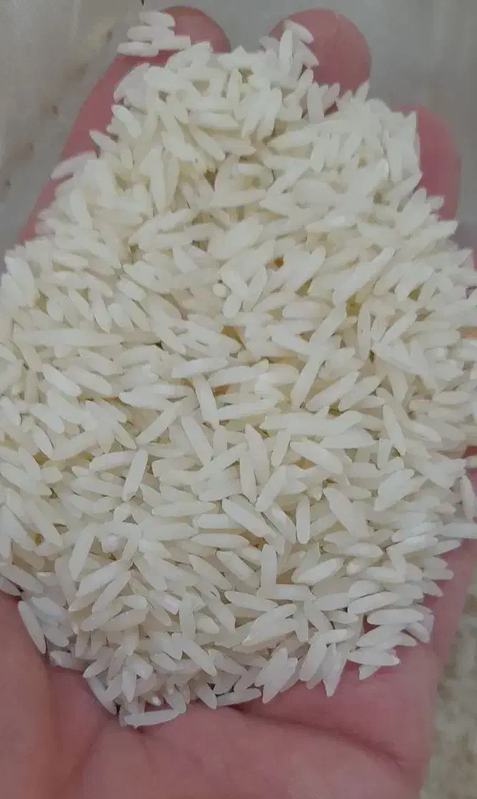 برنج طارم محلی فریدونکنار کالابرگ اصفهان کارت آزاد|خوردنی و آشامیدنی|اصفهان, رزمندگان|دیوار