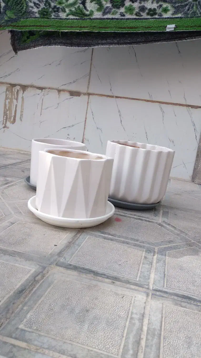 گلدان|گل و گیاه طبیعی|ایلام, |دیوار