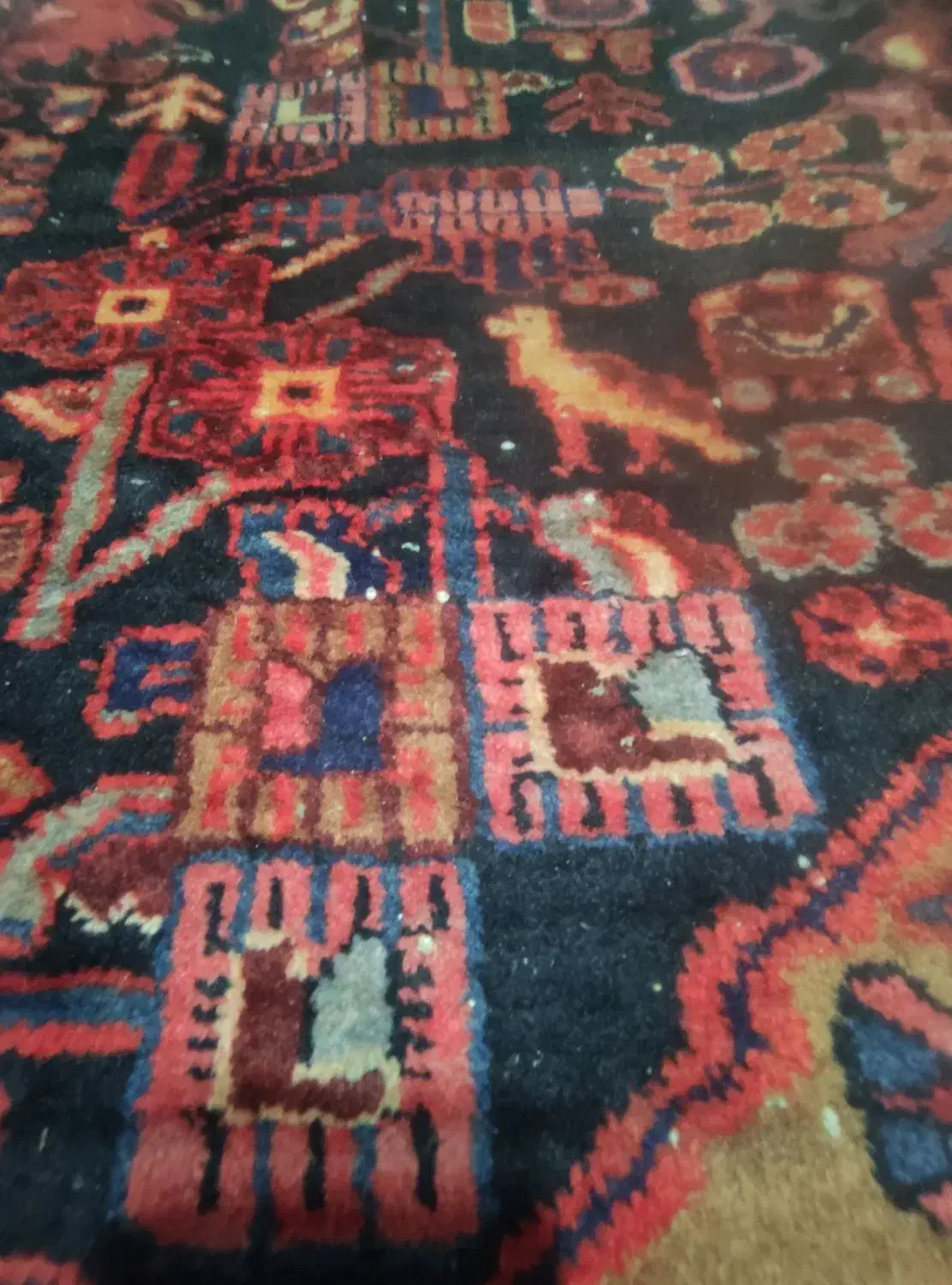 فرش دستباف قدمت دار|فرش|شهریار, شهرک وائین|دیوار