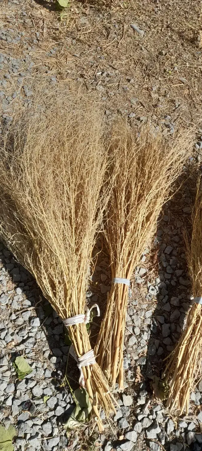 جارودستی|لوازم نظافت|ارومیه, |دیوار