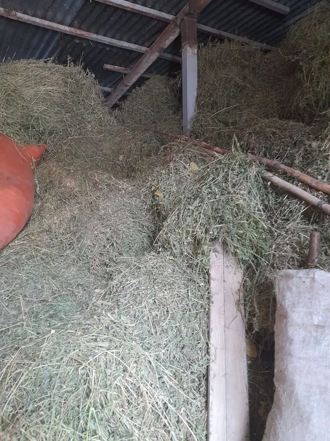 یونجه|لوازم جانبی حیوانات|بجنورد, |دیوار