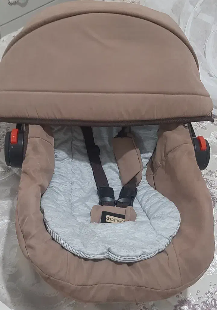 کریر|کالسکه و لوازم جانبی|بروجرد, |دیوار